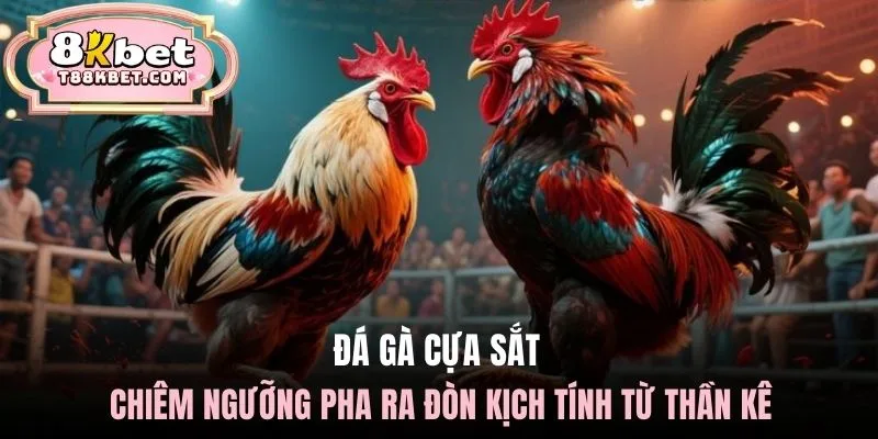 da-ga-cua-sat